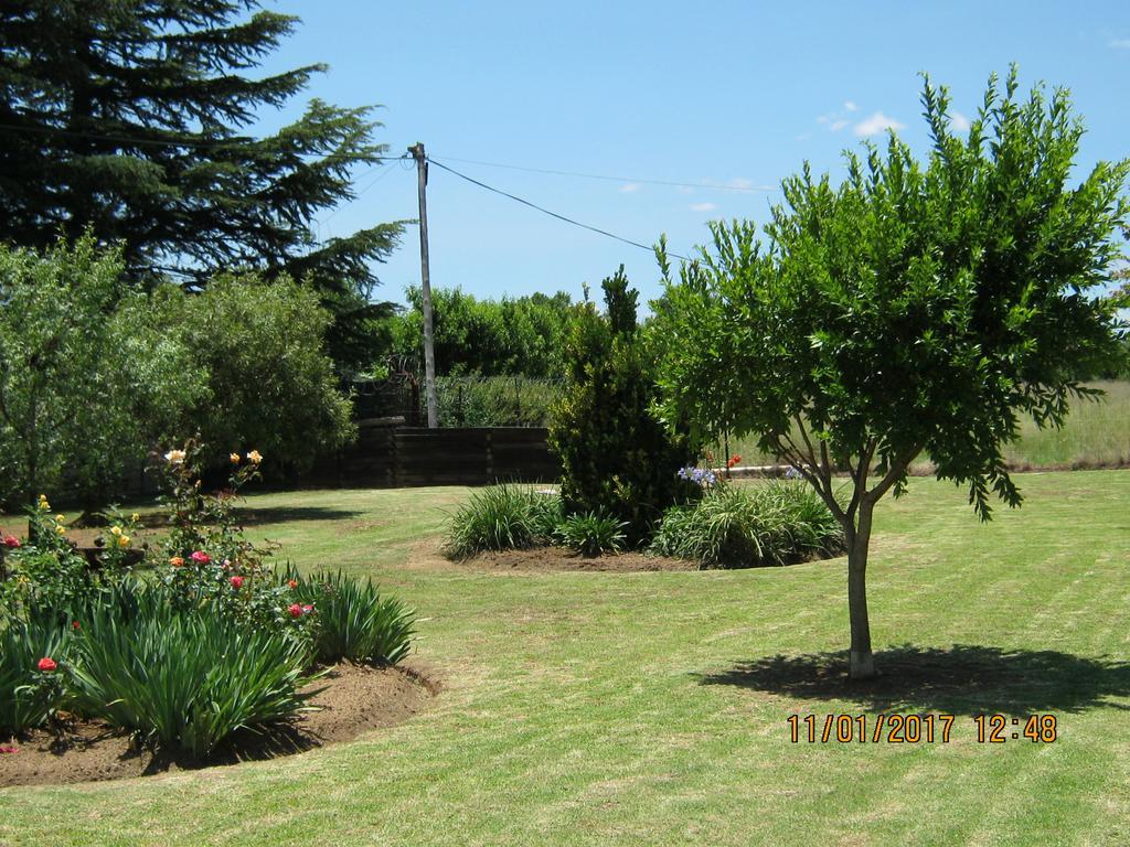 Grace Country Retreat Hotel Memel Екстериор снимка